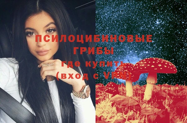 шишки Абинск