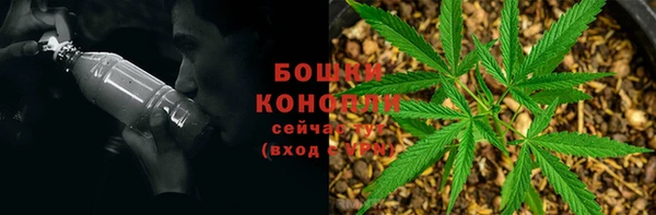 PSILOCYBIN Абдулино