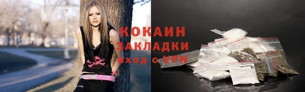 шишки Абинск