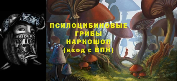 2c-b Абаза