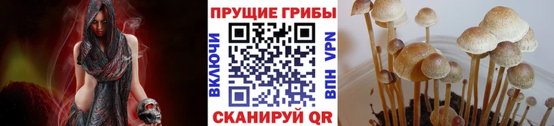 Псилоцибиновые грибы Cubensis Лиски