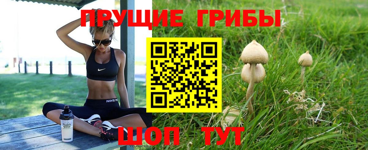 Лиски  Псилоцибиновые грибы GOLDEN TEACHER  Вход с VPN 